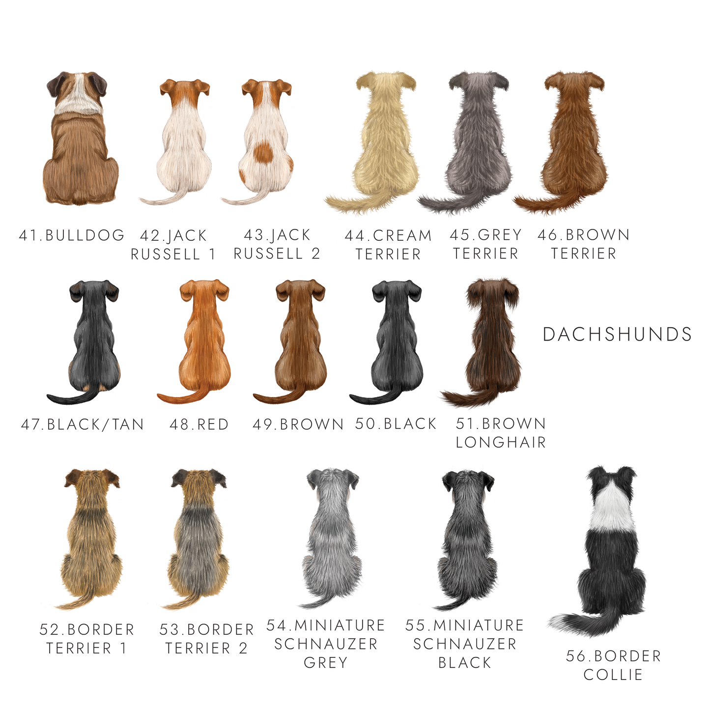 Personalised Dog Graduation Card