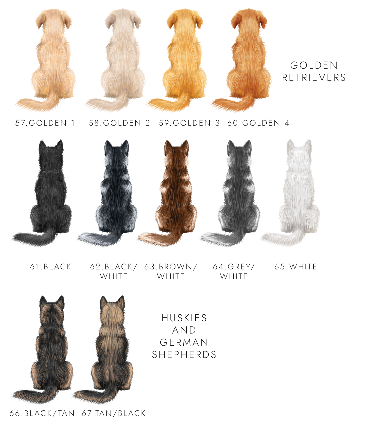 Choose the Dogs Any Age Birthday Card for Him