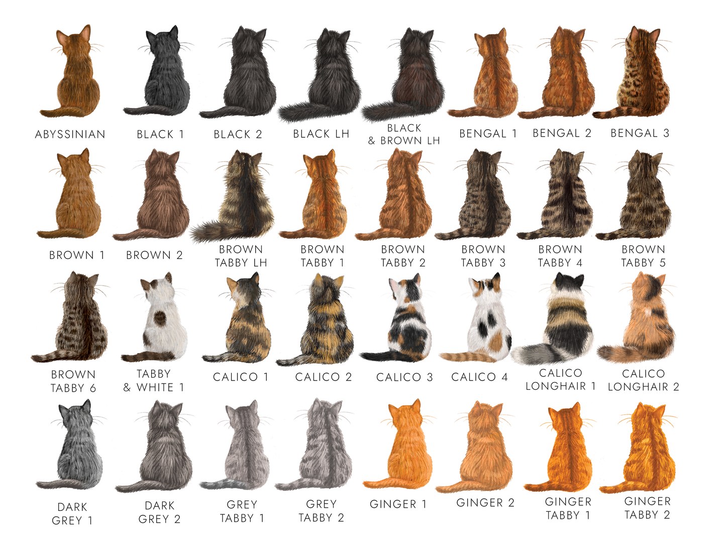 Chart of cat breeds with corresponding images and names.