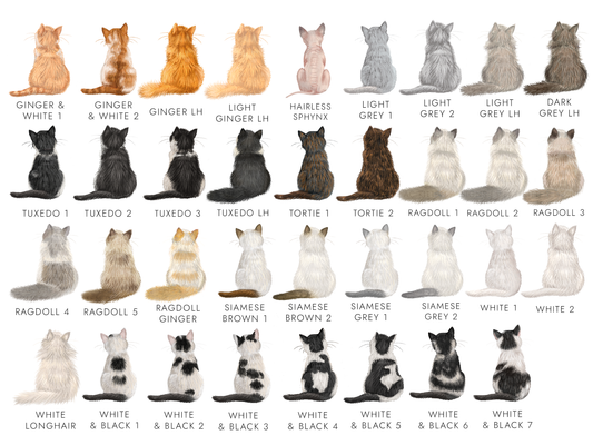 Chart of cat color patterns with various cat illustrations labeled.