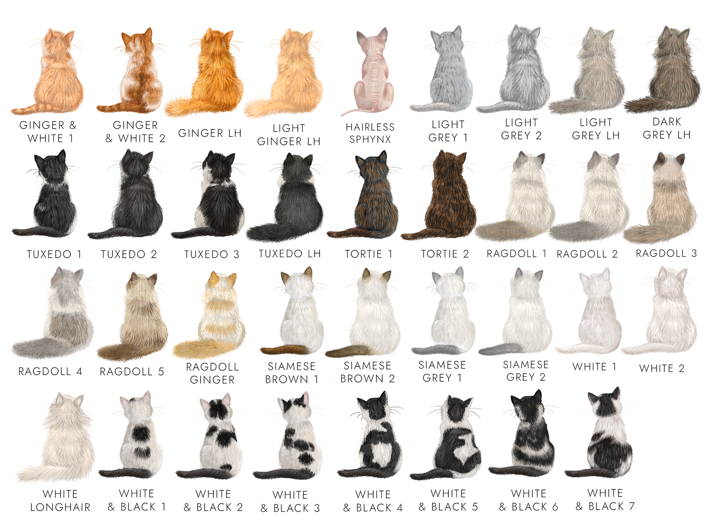 Chart of cat color patterns with various cat illustrations labeled.