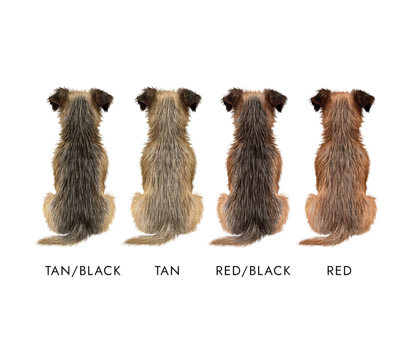 Personalised Border Terrier Dog Christmas Card