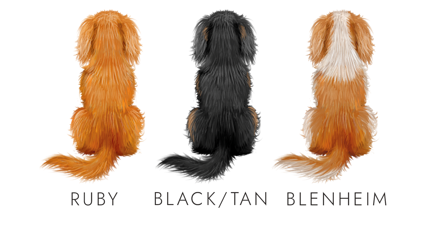 Personalised King Charles Spaniel Christmas Card