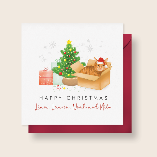 Personalised Ginger Cat in a Box Christmas Card