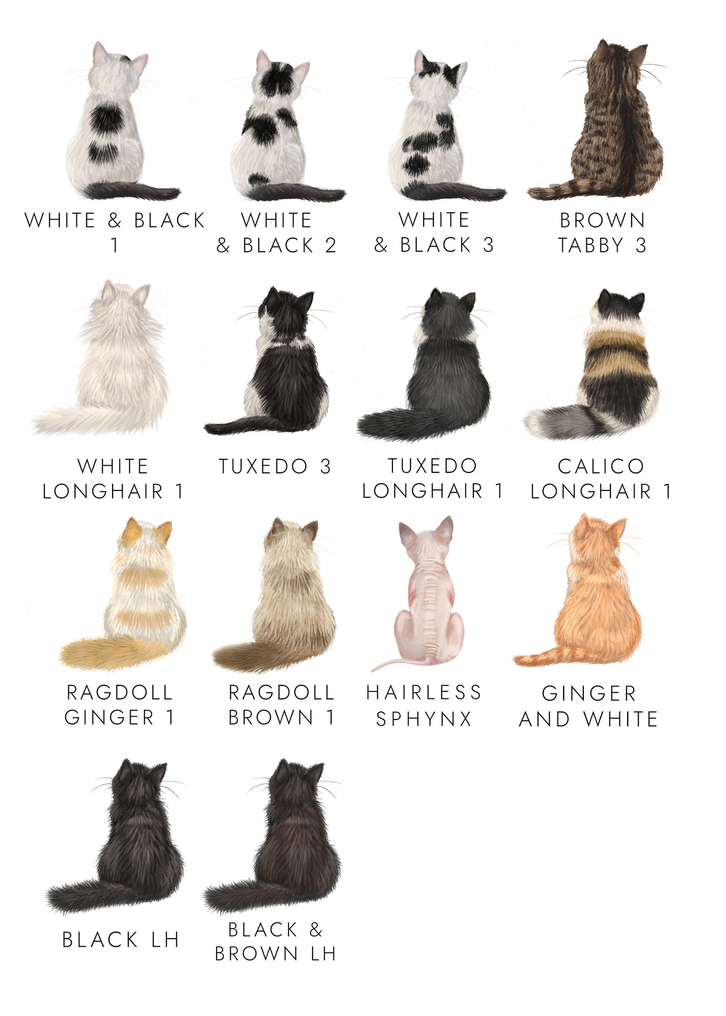 Personalised Choose the 2 Cats Christmas Card for Husband