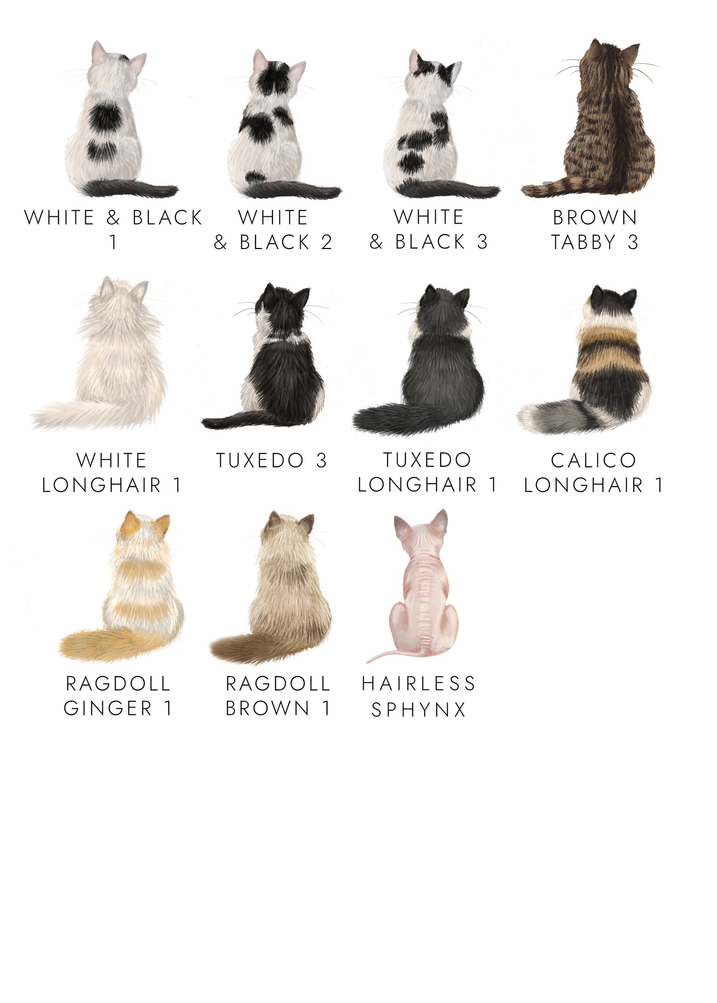 Personalised Choose the Cat Starry Night Notepad