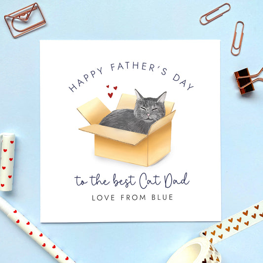 Grey Cat in Box Father's Day Card for Cat Dad