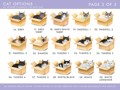 Personalised Cat in Box Birthday Card