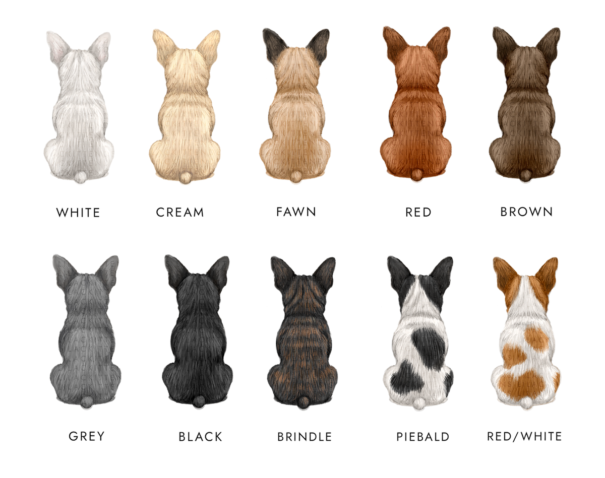 Personalised French Bulldog Christmas Card