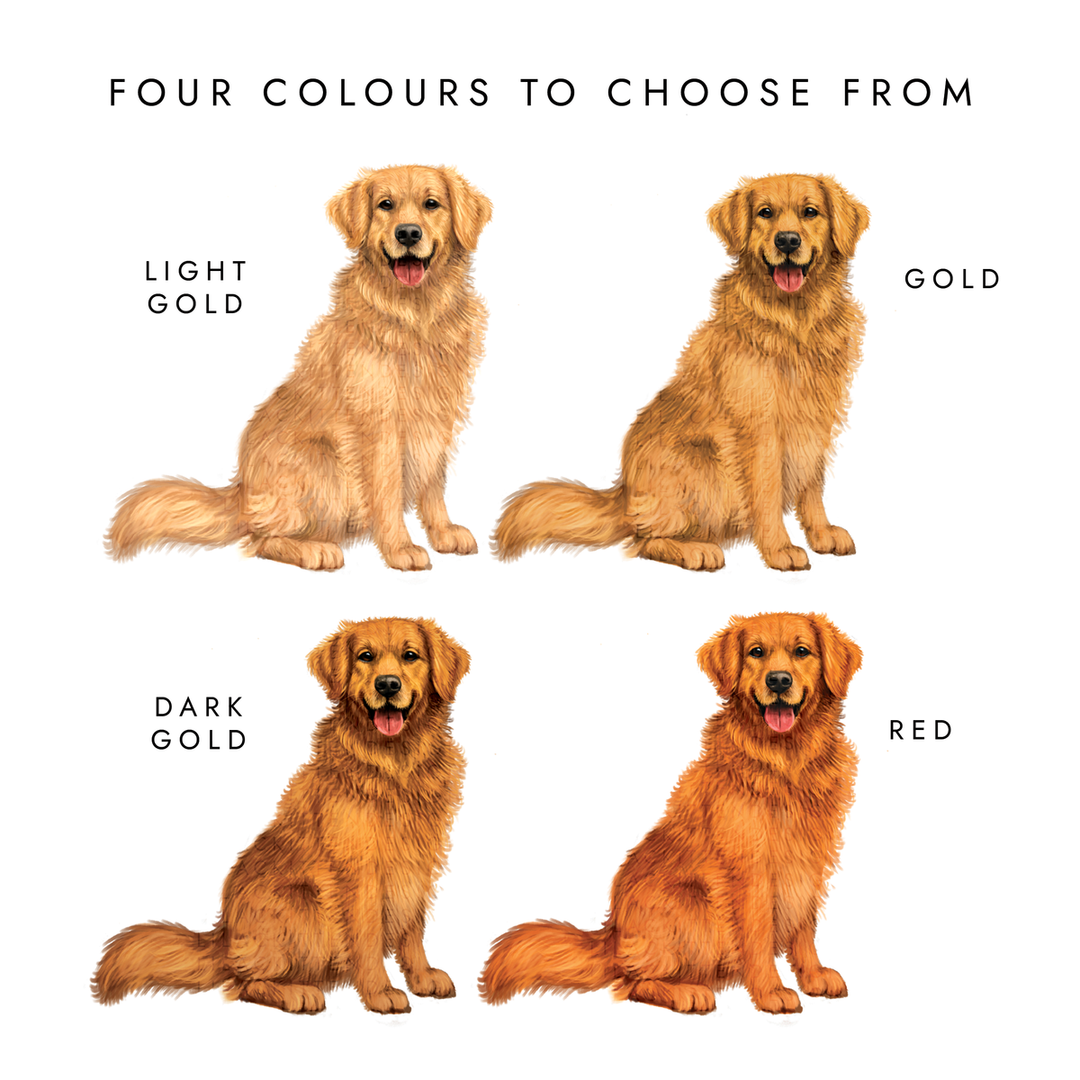 Personalised Golden Retriever Christmas Card