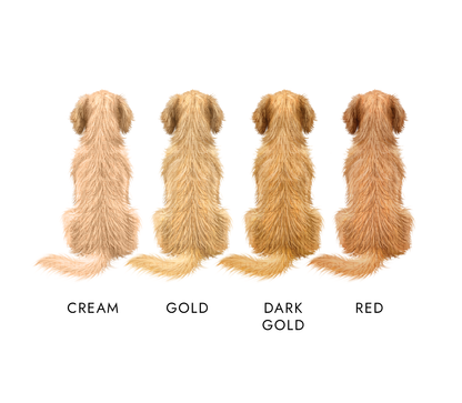 Personalised Golden Retriever Dog Christmas Card