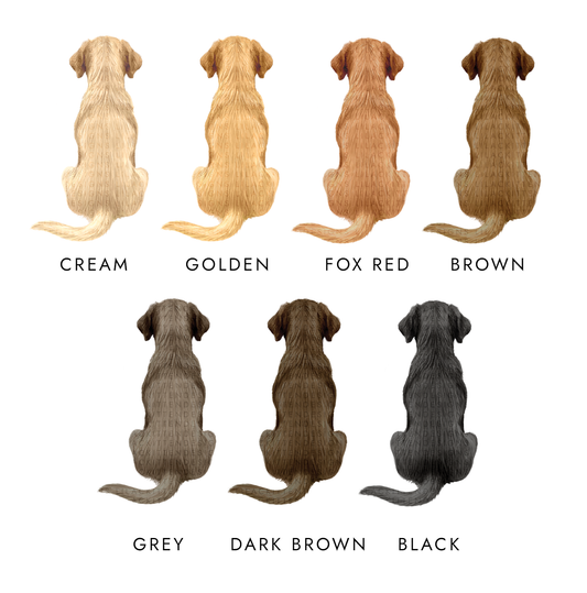 Personalised Any Colour Labrador Birthday Card for Her