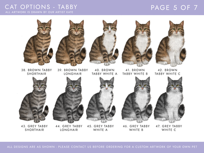 cat options including brown tabby cats and grey tabby cats