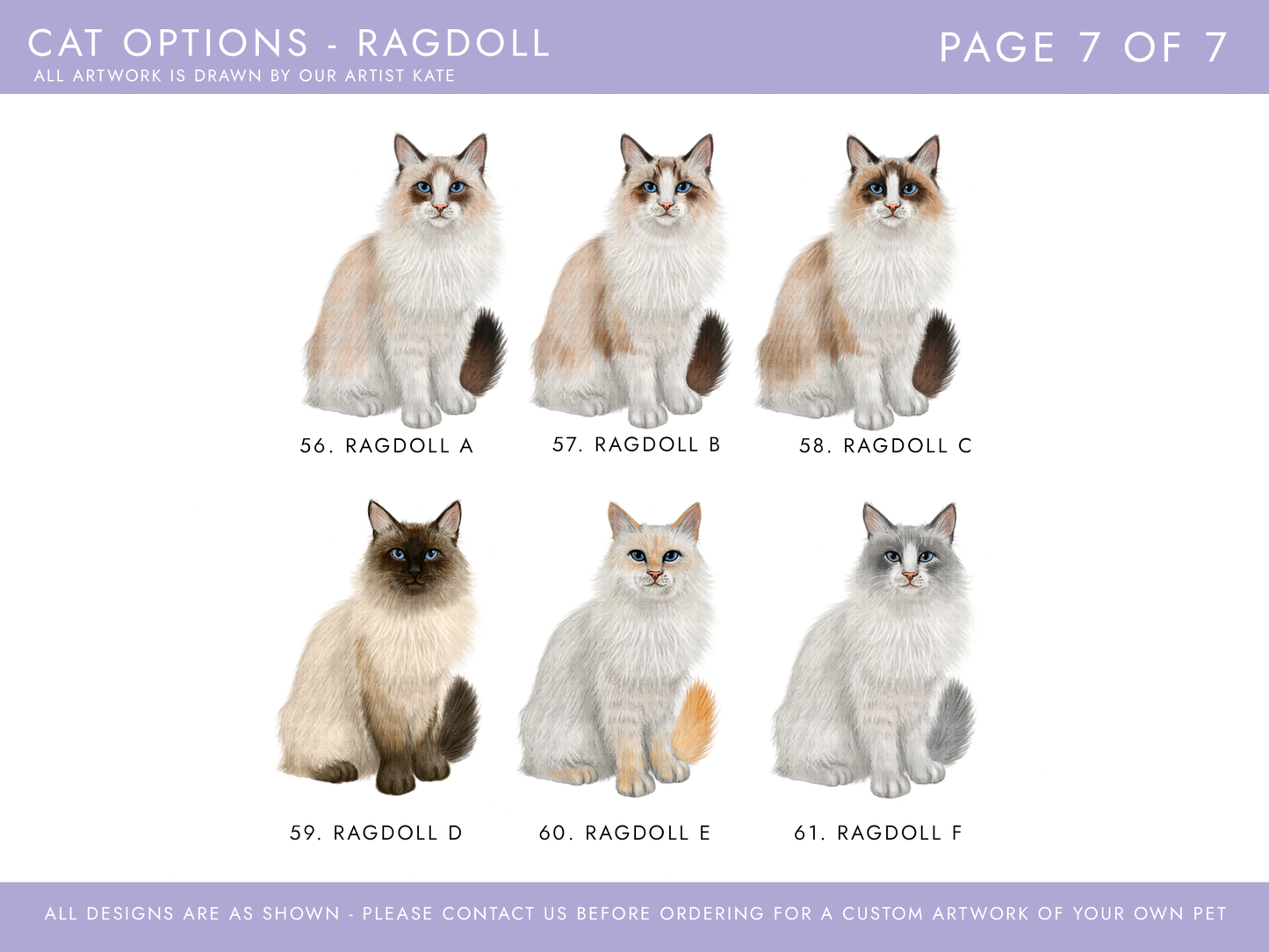 cat options for ragdoll cats