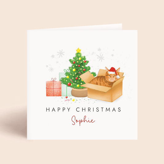 Personalised Ginger Cat in a Box Christmas Card