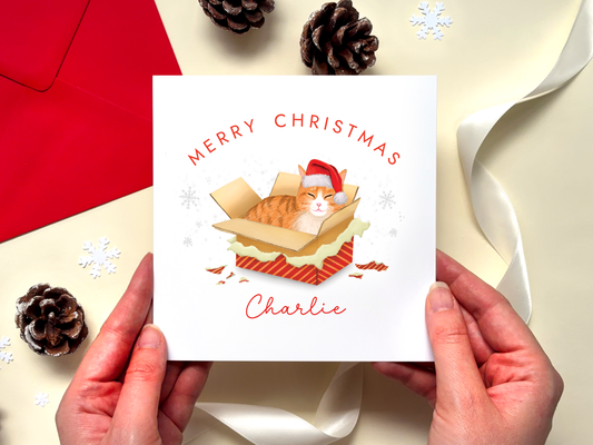 Personalised Ginger & White Cat in a Box Christmas Card