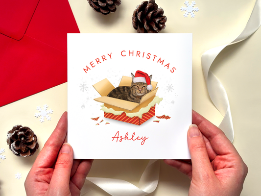 Personalised Tabby Cat in a Box Christmas Card