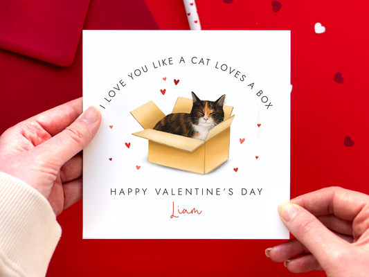 Personalised Calico Cat in a Box Valentine's Day Card