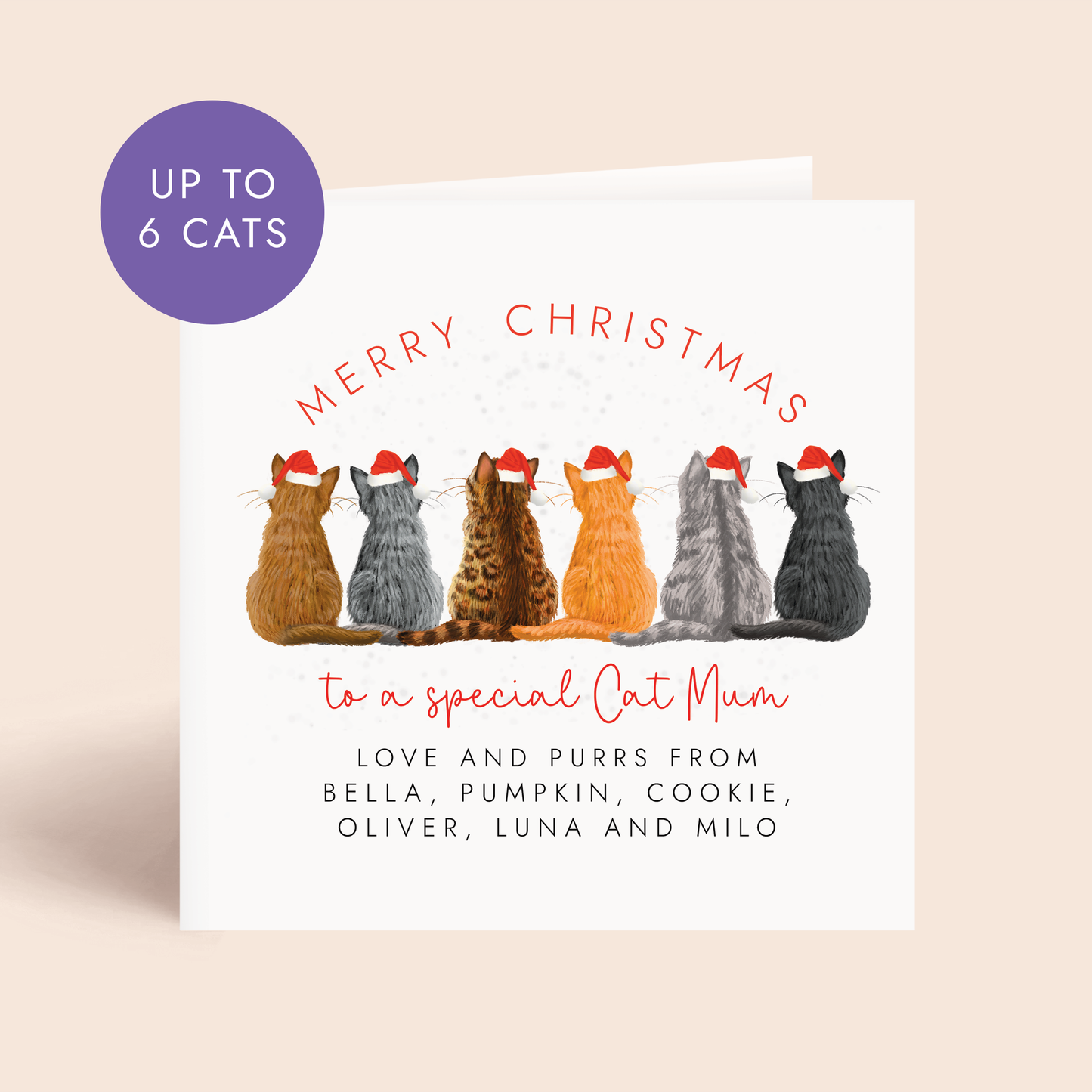 Personalised From the Cats Christmas Card for Cat Mum