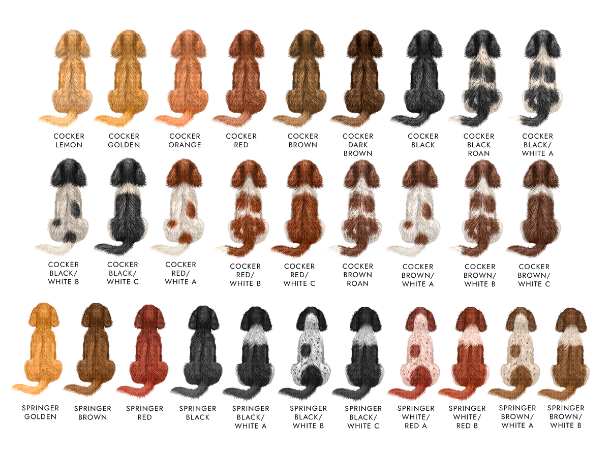 Personalised Spaniel Christmas Card