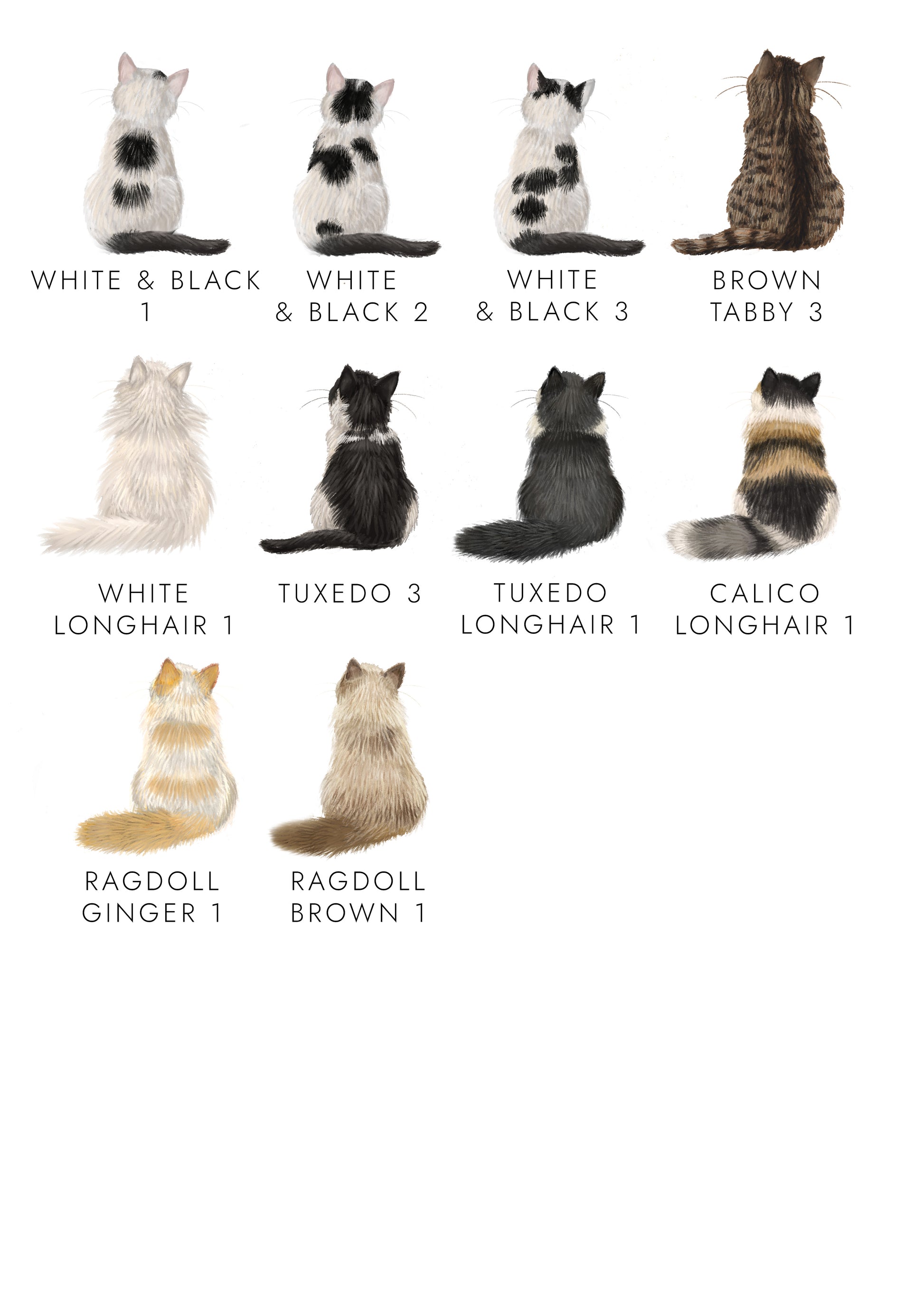 New Famous Cat Breeds Top Most Common Cat Breeds 2025